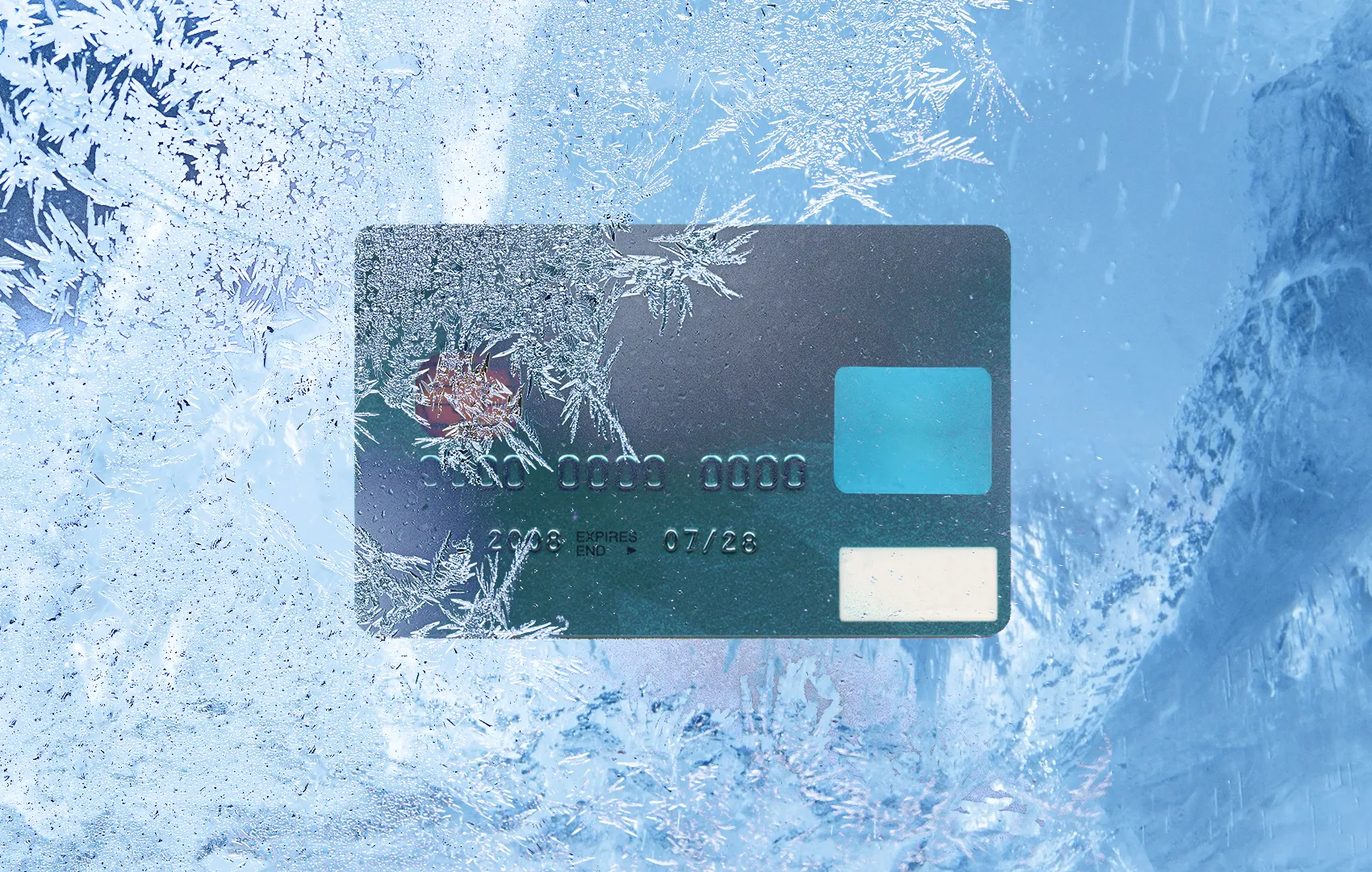Credit Card Freeze